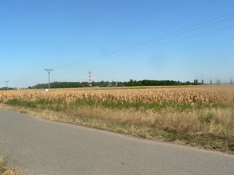 Foto 20